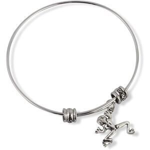 Frog Charm Bangle Bracelet Jewelry